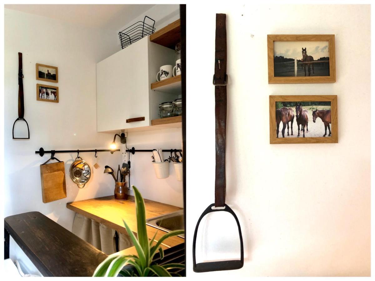 Apartamenty Lajkonik Dabrowno  Ngoại thất bức ảnh