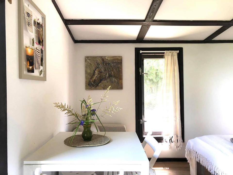 Apartamenty Lajkonik Dabrowno  Ngoại thất bức ảnh