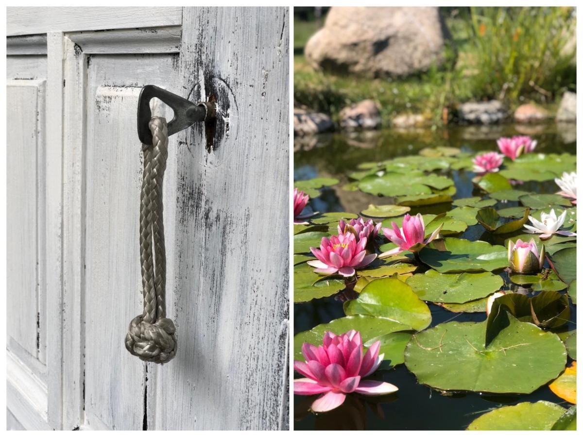 Apartamenty Lajkonik Dabrowno  Ngoại thất bức ảnh