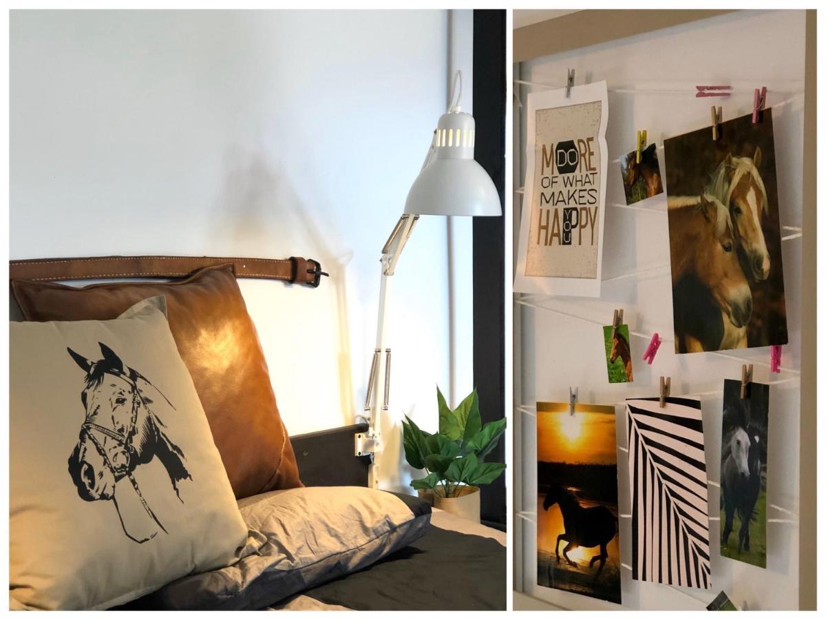Apartamenty Lajkonik Dabrowno  Ngoại thất bức ảnh